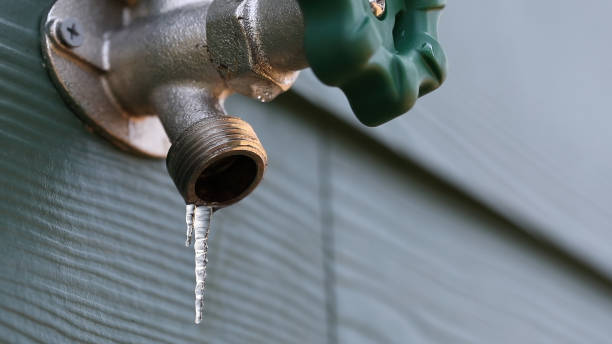 Best Water Leak Repair  in Willmsburg, IA